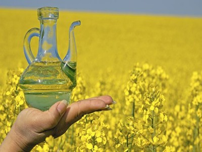 Refined Canola Oil